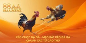 Kèo cược đá gà - Mẹo bắt kèo đá gà chuẩn xác từ cao thủ